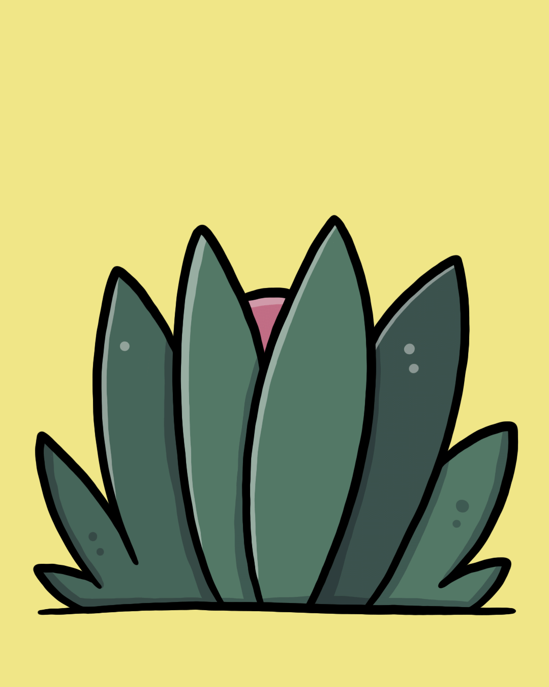 Be a gentle explorer! - The Melon Explorer