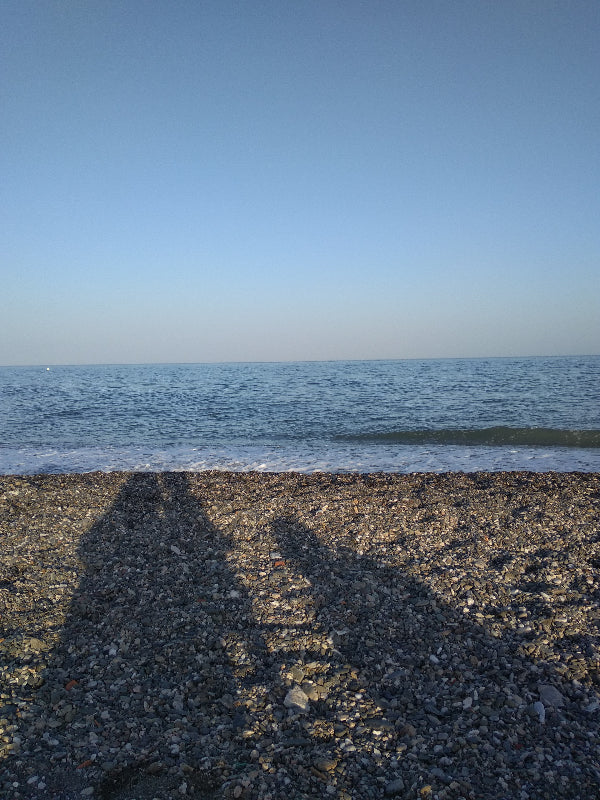 About us - The Melon Explorer